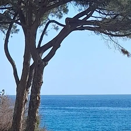 Apartmán Appartamenti Seccheto